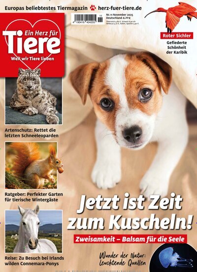 Titelbild der Ausgabe 11/2025 von Ein Herz für Tiere. Diese Zeitschrift und viele weitere Elternzeitschriften und Tierzeitschriften als Abo oder epaper bei United Kiosk online kaufen.