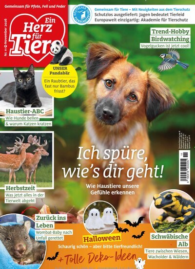 Titelbild der Ausgabe 11/2026 von Ein Herz für Tiere. Diese Zeitschrift und viele weitere Elternzeitschriften und Tierzeitschriften als Abo oder epaper bei United Kiosk online kaufen.