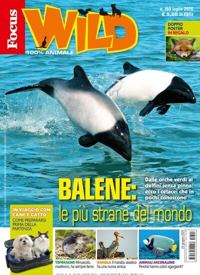 Titelbild der Ausgabe 7/2025 von Focus Wild. Diese Zeitschrift und viele weitere Jugendzeitschriften und Kinderzeitschriften als Abo oder epaper bei United Kiosk online kaufen.