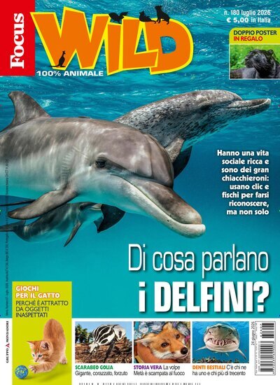 Titelbild der Ausgabe 7/2026 von Focus Wild. Diese Zeitschrift und viele weitere Jugendzeitschriften und Kinderzeitschriften als Abo oder epaper bei United Kiosk online kaufen.