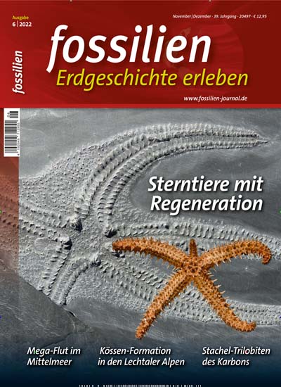 Titelbild der Ausgabe 6/2022 von fossilien - Erdgeschichte erleben. Diese Zeitschrift und viele weitere Reisemagazine, Freizeitmagazine und Wissensmagazine als Abo oder epaper bei United Kiosk online kaufen.