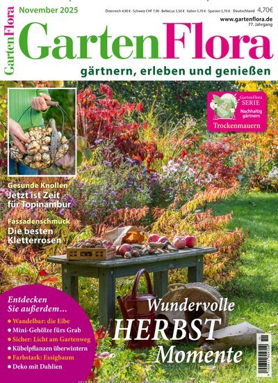 Titelbild der Ausgabe 11/2025 von GartenFlora. Diese Zeitschrift und viele weitere Gartenzeitschriften und Wohnzeitschriften als Abo oder epaper bei United Kiosk online kaufen.