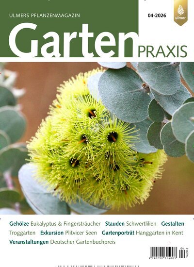 Titelbild der Ausgabe 4/2026 von Gartenpraxis. Diese Zeitschrift und viele weitere Naturzeitschriften, Landwirtschaftszeitungen und Umweltmagazine als Abo oder epaper bei United Kiosk online kaufen.