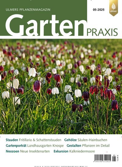 Titelbild der Ausgabe 5/2025 von Gartenpraxis. Diese Zeitschrift und viele weitere Naturzeitschriften, Landwirtschaftszeitungen und Umweltmagazine als Abo oder epaper bei United Kiosk online kaufen.