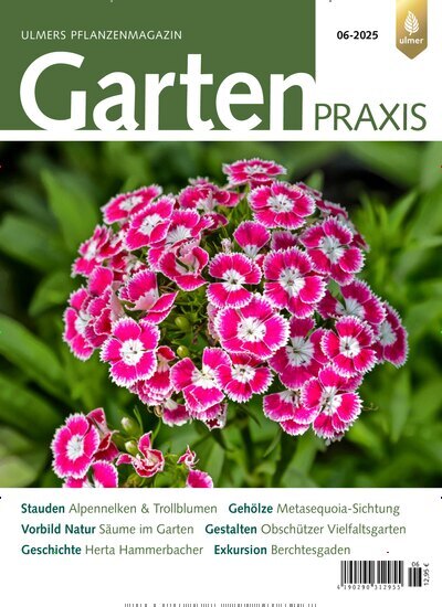 Titelbild der Ausgabe 6/2025 von Gartenpraxis. Diese Zeitschrift und viele weitere Naturzeitschriften, Landwirtschaftszeitungen und Umweltmagazine als Abo oder epaper bei United Kiosk online kaufen.