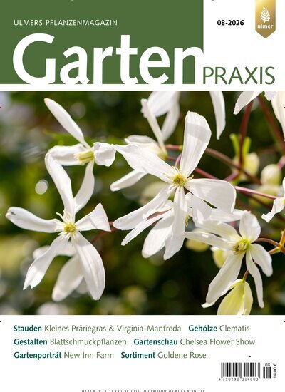 Titelbild der Ausgabe 8/2026 von Gartenpraxis. Diese Zeitschrift und viele weitere Naturzeitschriften, Landwirtschaftszeitungen und Umweltmagazine als Abo oder epaper bei United Kiosk online kaufen.