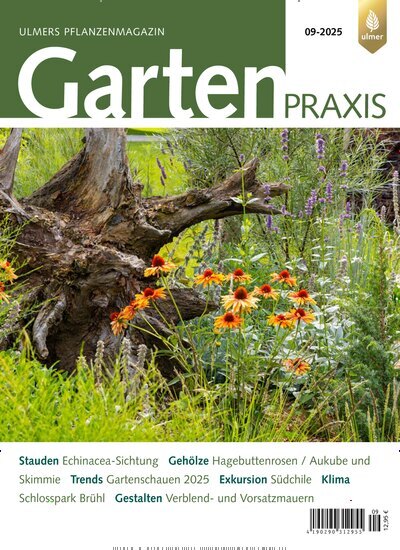 Titelbild der Ausgabe 9/2025 von Gartenpraxis. Diese Zeitschrift und viele weitere Naturzeitschriften, Landwirtschaftszeitungen und Umweltmagazine als Abo oder epaper bei United Kiosk online kaufen.