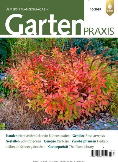 Titelbild der Ausgabe 10/2025 von Gartenpraxis. Diese Zeitschrift und viele weitere Naturzeitschriften, Landwirtschaftszeitungen und Umweltmagazine als Abo oder epaper bei United Kiosk online kaufen.