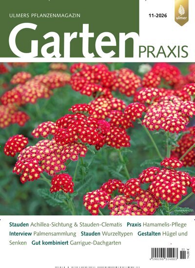 Titelbild der Ausgabe 11/2026 von Gartenpraxis. Diese Zeitschrift und viele weitere Naturzeitschriften, Landwirtschaftszeitungen und Umweltmagazine als Abo oder epaper bei United Kiosk online kaufen.