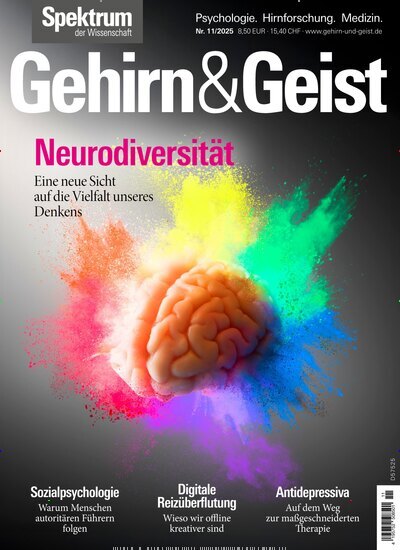 Titelbild der Ausgabe 11/2025 von Gehirn & Geist. Diese Zeitschrift und viele weitere Reisemagazine, Freizeitmagazine und Wissensmagazine als Abo oder epaper bei United Kiosk online kaufen.