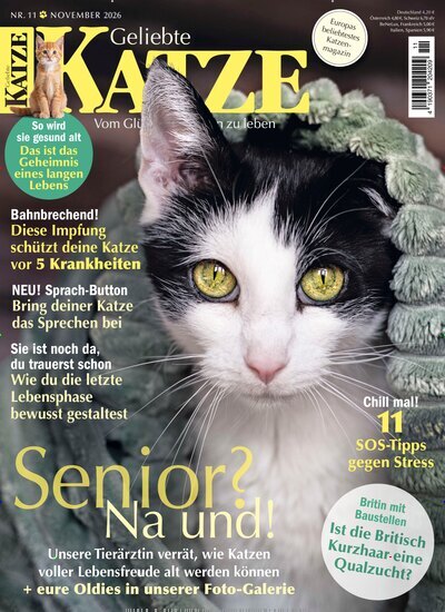 Titelbild der Ausgabe 11/2026 von Geliebte Katze. Diese Zeitschrift und viele weitere Elternzeitschriften und Tierzeitschriften als Abo oder epaper bei United Kiosk online kaufen.