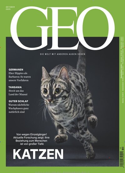 Titelbild der Ausgabe 10/2025 von GEO. Diese Zeitschrift und viele weitere Reisemagazine, Freizeitmagazine und Wissensmagazine als Abo oder epaper bei United Kiosk online kaufen.