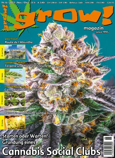 Titelbild der Ausgabe 6/2023 von grow! Magazin. Diese Zeitschrift und viele weitere Lifestylemagazine und Peoplemagazine als Abo oder epaper bei United Kiosk online kaufen.