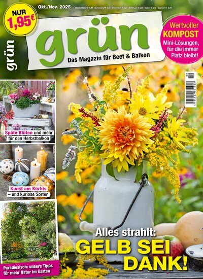 Titelbild der Ausgabe 9/2025 von Grün - Das Magazin für Beet und Balkon. Diese Zeitschrift und viele weitere Gartenzeitschriften und Wohnzeitschriften als Abo oder epaper bei United Kiosk online kaufen.