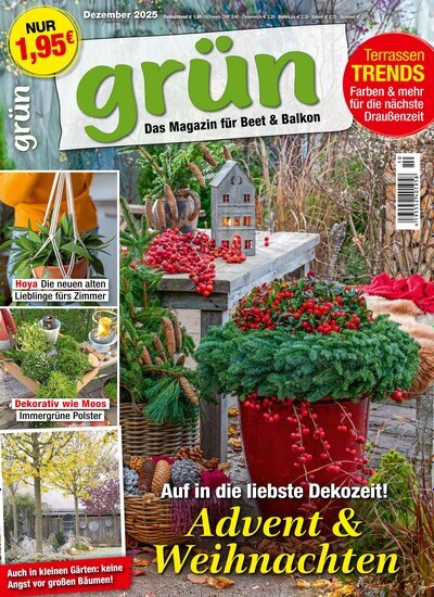 Titelbild der Ausgabe 10/2025 von Grün - Das Magazin für Beet und Balkon. Diese Zeitschrift und viele weitere Gartenzeitschriften und Wohnzeitschriften als Abo oder epaper bei United Kiosk online kaufen.