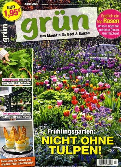 Titelbild der Ausgabe 3/2023 von Grün - Kreativ mit Blumen & Pflanzen. Diese Zeitschrift und viele weitere Gartenzeitschriften und Wohnzeitschriften als Abo oder epaper bei United Kiosk online kaufen.