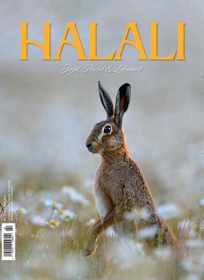 Titelbild der Ausgabe 2/2025 von Halali. Diese Zeitschrift und viele weitere Sportmagazine als Abo oder epaper bei United Kiosk online kaufen.