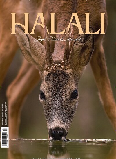 Titelbild der Ausgabe 3/2026 von Halali. Diese Zeitschrift und viele weitere Sportmagazine als Abo oder epaper bei United Kiosk online kaufen.