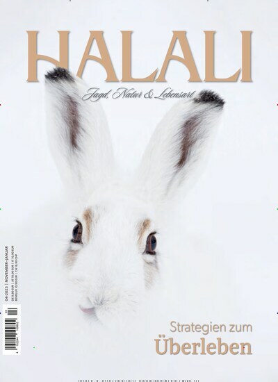 Titelbild der Ausgabe 4/2023 von Halali. Diese Zeitschrift und viele weitere Sportmagazine als Abo oder epaper bei United Kiosk online kaufen.