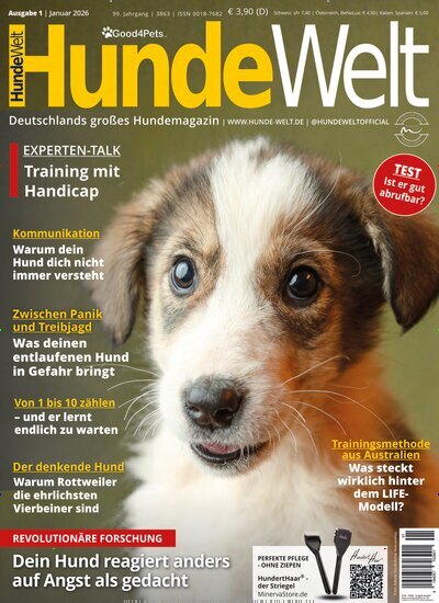 Titelbild der Ausgabe 1/2026 von HundeWelt. Diese Zeitschrift und viele weitere Elternzeitschriften und Tierzeitschriften als Abo oder epaper bei United Kiosk online kaufen.