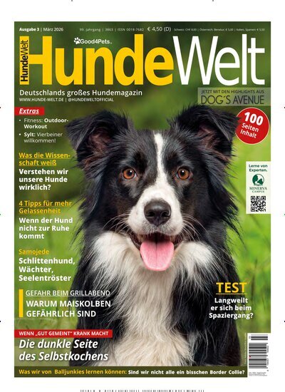 Titelbild der Ausgabe 3/2026 von HundeWelt. Diese Zeitschrift und viele weitere Elternzeitschriften und Tierzeitschriften als Abo oder epaper bei United Kiosk online kaufen.