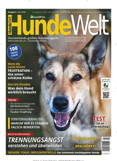 Titelbild der Ausgabe 4/2026 von HundeWelt. Diese Zeitschrift und viele weitere Elternzeitschriften und Tierzeitschriften als Abo oder epaper bei United Kiosk online kaufen.