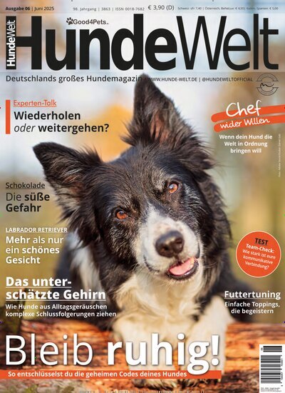 Titelbild der Ausgabe 6/2025 von Hundewelt. Diese Zeitschrift und viele weitere Elternzeitschriften und Tierzeitschriften als Abo oder epaper bei United Kiosk online kaufen.