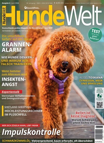 Titelbild der Ausgabe 6/2026 von HundeWelt. Diese Zeitschrift und viele weitere Elternzeitschriften und Tierzeitschriften als Abo oder epaper bei United Kiosk online kaufen.