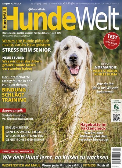 Titelbild der Ausgabe 7/2026 von HundeWelt. Diese Zeitschrift und viele weitere Elternzeitschriften und Tierzeitschriften als Abo oder epaper bei United Kiosk online kaufen.