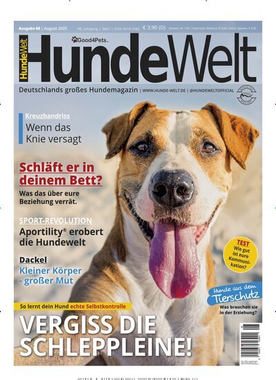 Titelbild der Ausgabe 8/2025 von Hundewelt. Diese Zeitschrift und viele weitere Elternzeitschriften und Tierzeitschriften als Abo oder epaper bei United Kiosk online kaufen.