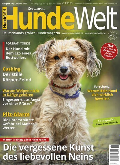 Titelbild der Ausgabe 10/2025 von Hundewelt. Diese Zeitschrift und viele weitere Elternzeitschriften und Tierzeitschriften als Abo oder epaper bei United Kiosk online kaufen.