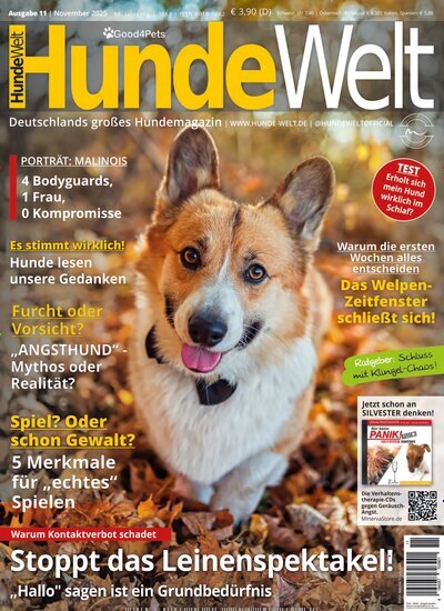 Titelbild der Ausgabe 11/2025 von HundeWelt. Diese Zeitschrift und viele weitere Elternzeitschriften und Tierzeitschriften als Abo oder epaper bei United Kiosk online kaufen.