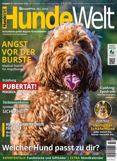 Titelbild der Ausgabe 11/2026 von HundeWelt. Diese Zeitschrift und viele weitere Elternzeitschriften und Tierzeitschriften als Abo oder epaper bei United Kiosk online kaufen.