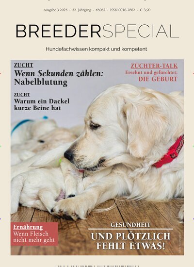Titelbild der Ausgabe 3/2025 von HundeWelt BREEDERSPECIAL. Diese Zeitschrift und viele weitere Elternzeitschriften und Tierzeitschriften als Abo oder epaper bei United Kiosk online kaufen.