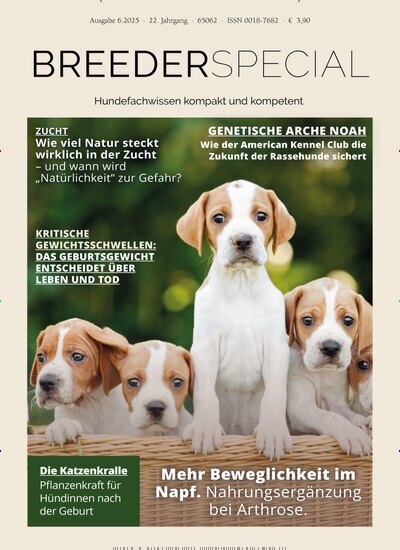 Titelbild der Ausgabe 6/2025 von HundeWelt BREEDERSPECIAL. Diese Zeitschrift und viele weitere Elternzeitschriften und Tierzeitschriften als Abo oder epaper bei United Kiosk online kaufen.