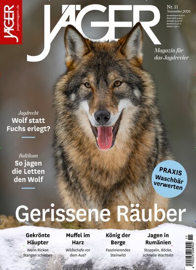 Titelbild der Ausgabe 11/2026 von Jäger. Diese Zeitschrift und viele weitere Sportmagazine als Abo oder epaper bei United Kiosk online kaufen.
