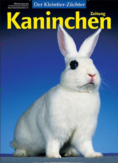 Titelbild der Ausgabe 24/2023 von Kaninchenzeitung. Diese Zeitschrift und viele weitere Naturzeitschriften, Landwirtschaftszeitungen und Umweltmagazine als Abo oder epaper bei United Kiosk online kaufen.