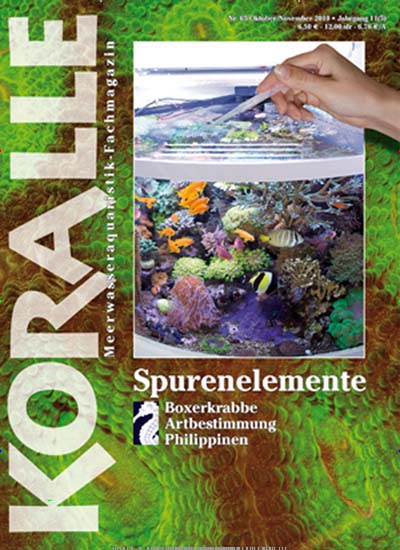 Titelbild der Ausgabe 6/2023 von Koralle. Diese Zeitschrift und viele weitere Elternzeitschriften und Tierzeitschriften als Abo oder epaper bei United Kiosk online kaufen.