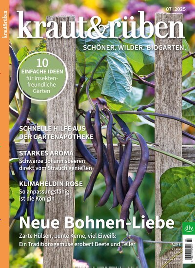 Titelbild der Ausgabe 7/2025 von kraut & rüben. Diese Zeitschrift und viele weitere Gartenzeitschriften und Wohnzeitschriften als Abo oder epaper bei United Kiosk online kaufen.