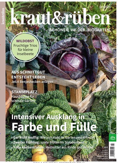 Titelbild der Ausgabe 11/2025 von kraut & rüben. Diese Zeitschrift und viele weitere Gartenzeitschriften und Wohnzeitschriften als Abo oder epaper bei United Kiosk online kaufen.