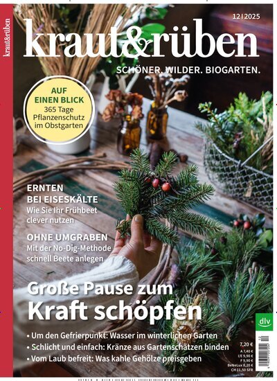 Titelbild der Ausgabe 12/2025 von kraut & rüben. Diese Zeitschrift und viele weitere Gartenzeitschriften und Wohnzeitschriften als Abo oder epaper bei United Kiosk online kaufen.