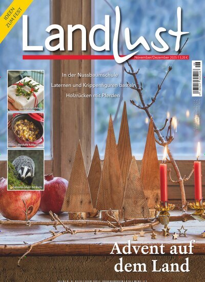 Titelbild der Ausgabe 6/2025 von Landlust. Diese Zeitschrift und viele weitere Gartenzeitschriften und Wohnzeitschriften als Abo oder epaper bei United Kiosk online kaufen.