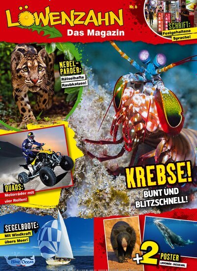 Titelbild der Ausgabe 6/2026 von Löwenzahn - Das Magazin. Diese Zeitschrift und viele weitere Jugendzeitschriften und Kinderzeitschriften als Abo oder epaper bei United Kiosk online kaufen.