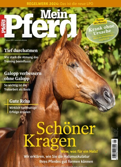 Titelbild der Ausgabe 10/2024 von Mein Pferd. Diese Zeitschrift und viele weitere Sportmagazine als Abo oder epaper bei United Kiosk online kaufen.