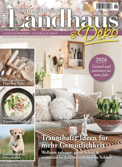 Titelbild der Ausgabe 6/2025 von Mein schönes Landhaus. Diese Zeitschrift und viele weitere Gartenzeitschriften und Wohnzeitschriften als Abo oder epaper bei United Kiosk online kaufen.