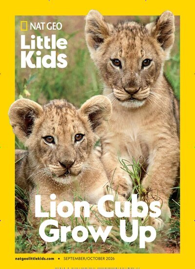 Titelbild der Ausgabe 4/2026 von National Geographic Little Kids. Diese Zeitschrift und viele weitere Jugendzeitschriften und Kinderzeitschriften als Abo oder epaper bei United Kiosk online kaufen.