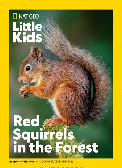 Titelbild der Ausgabe 5/2026 von National Geographic Little Kids. Diese Zeitschrift und viele weitere Jugendzeitschriften und Kinderzeitschriften als Abo oder epaper bei United Kiosk online kaufen.