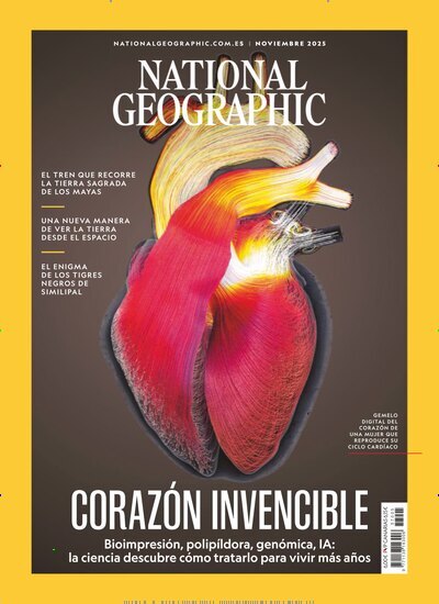Titelbild der Ausgabe 11/2025 von National Geographic Spanien. Diese Zeitschrift und viele weitere Reisemagazine, Freizeitmagazine und Wissensmagazine als Abo oder epaper bei United Kiosk online kaufen.