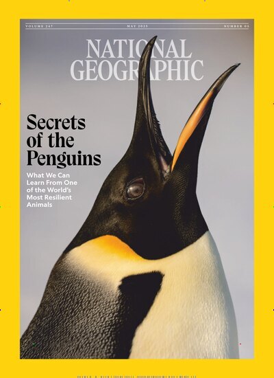 Titelbild der Ausgabe 5/2025 von National Geographic USA. Diese Zeitschrift und viele weitere Reisemagazine, Freizeitmagazine und Wissensmagazine als Abo oder epaper bei United Kiosk online kaufen.