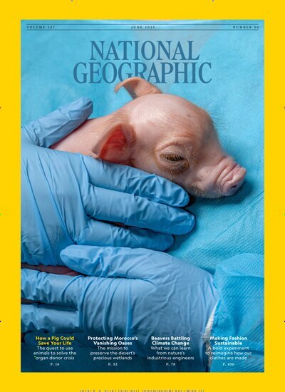 Titelbild der Ausgabe 6/2025 von National Geographic USA. Diese Zeitschrift und viele weitere Reisemagazine, Freizeitmagazine und Wissensmagazine als Abo oder epaper bei United Kiosk online kaufen.